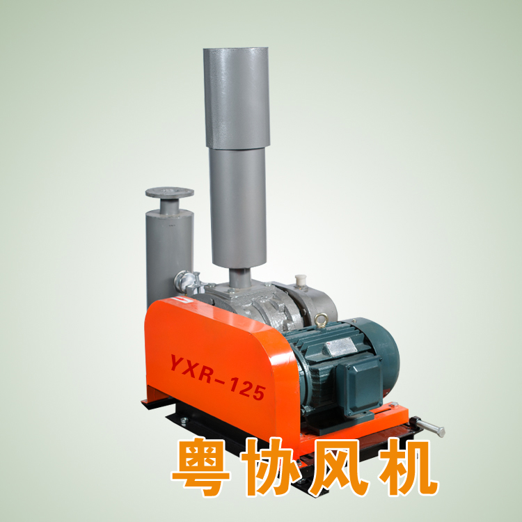環(huán)保用羅茨鼓風機.jpg
