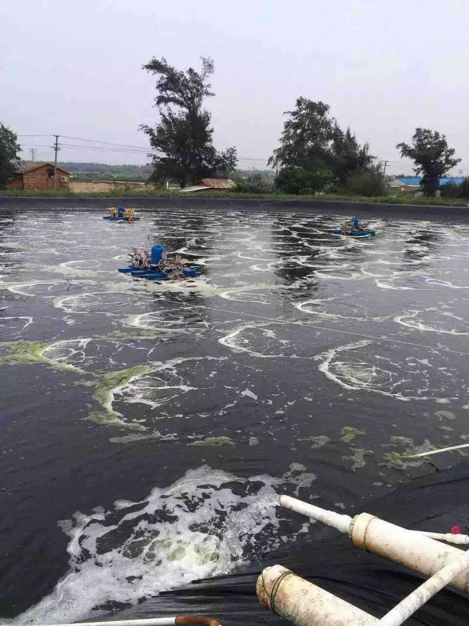 增氧羅茨風機.jpg