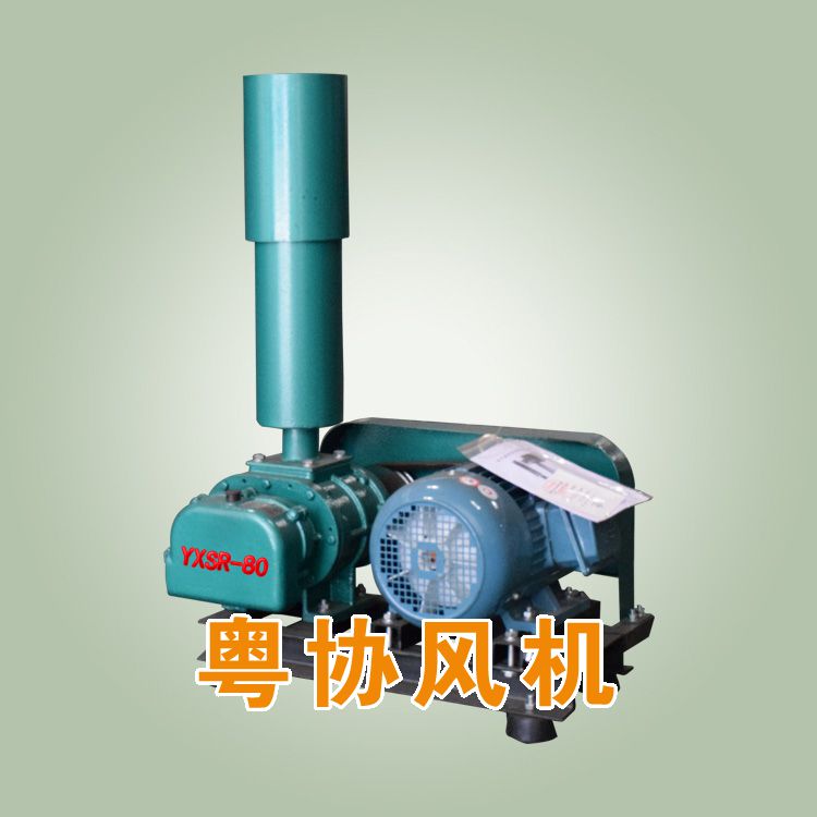 高壓羅茨風(fēng)機(jī).jpg